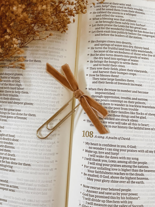 Camel-velvet ribbon bookmark