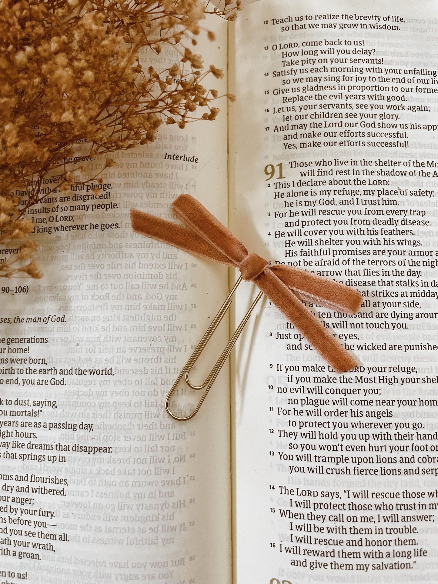 Dolce-velvet ribbon bookmark