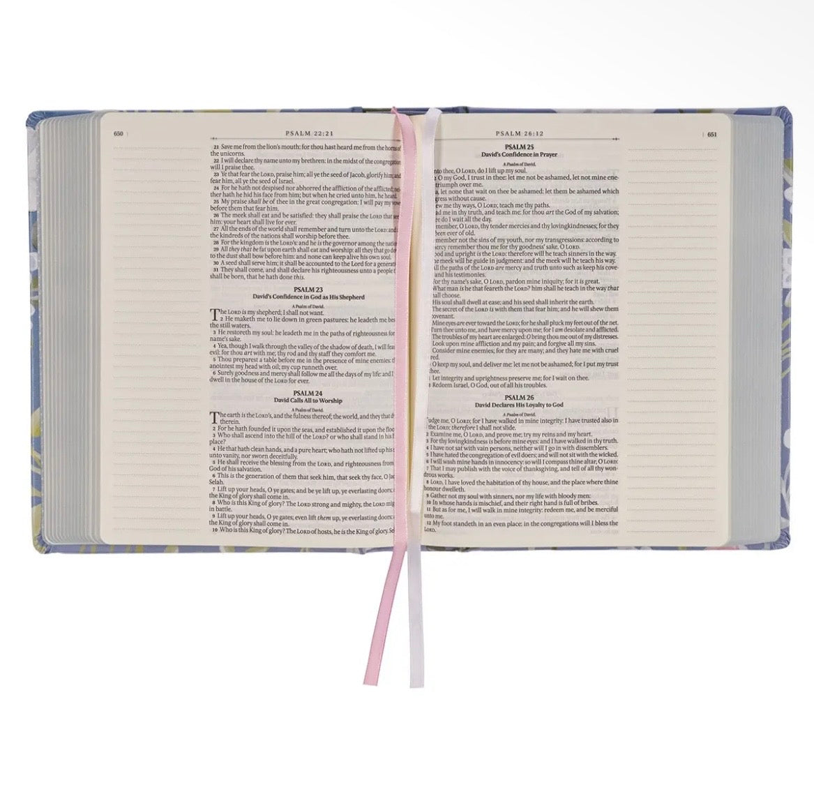 Blue Floral KJV Notetaking Bible + Bow Set