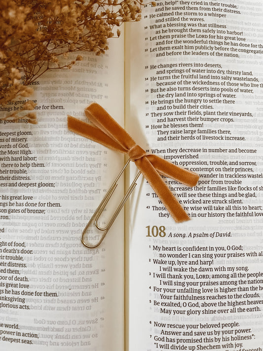 Honey- velvet ribbon bookmark