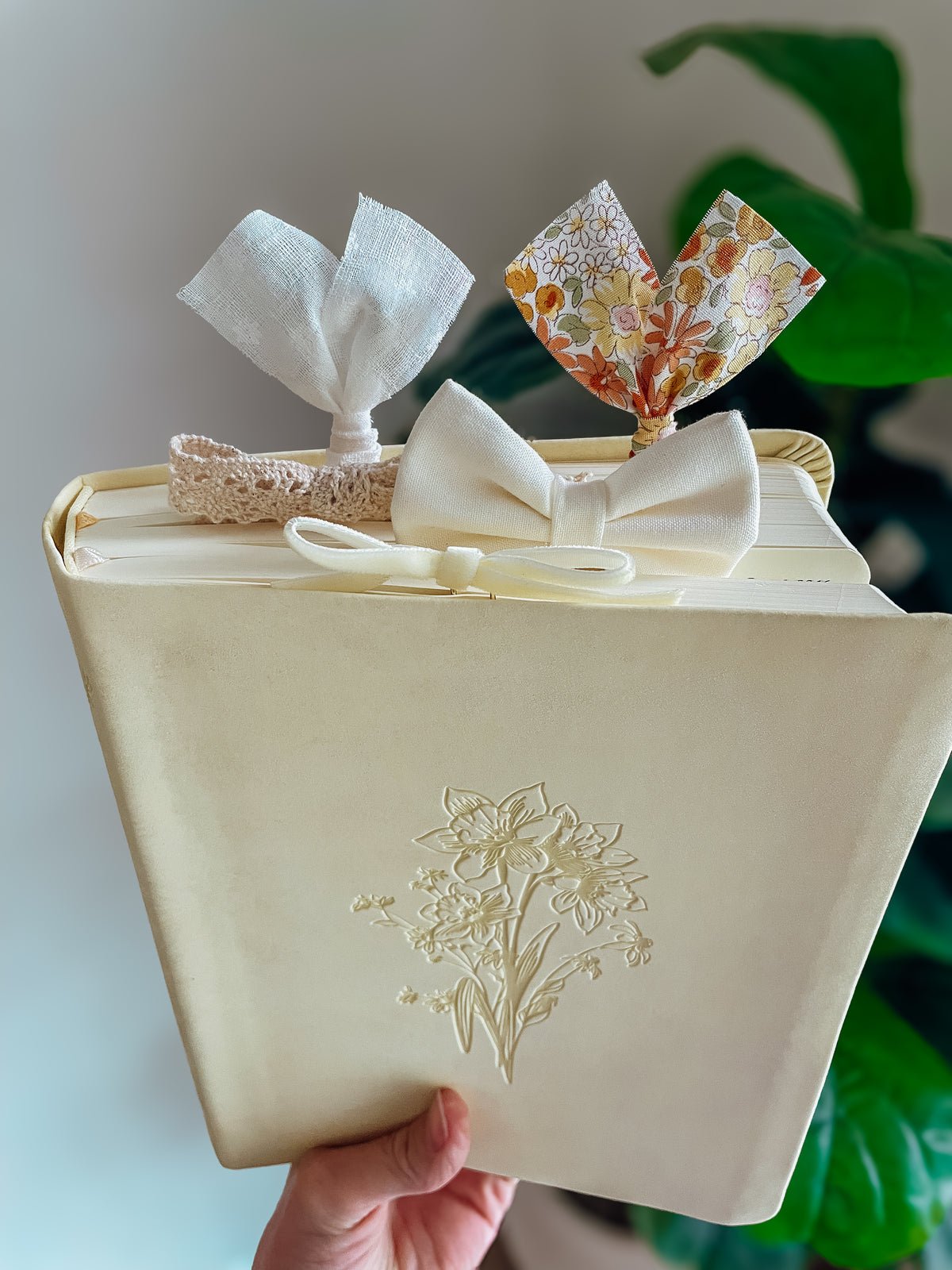 Belfast NLT Notetaking Bible + Bow Set