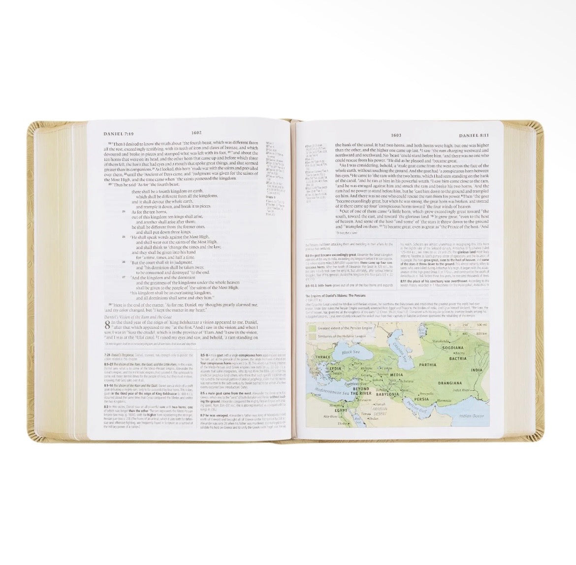 Sonora ESV Study Bible + Bow Set