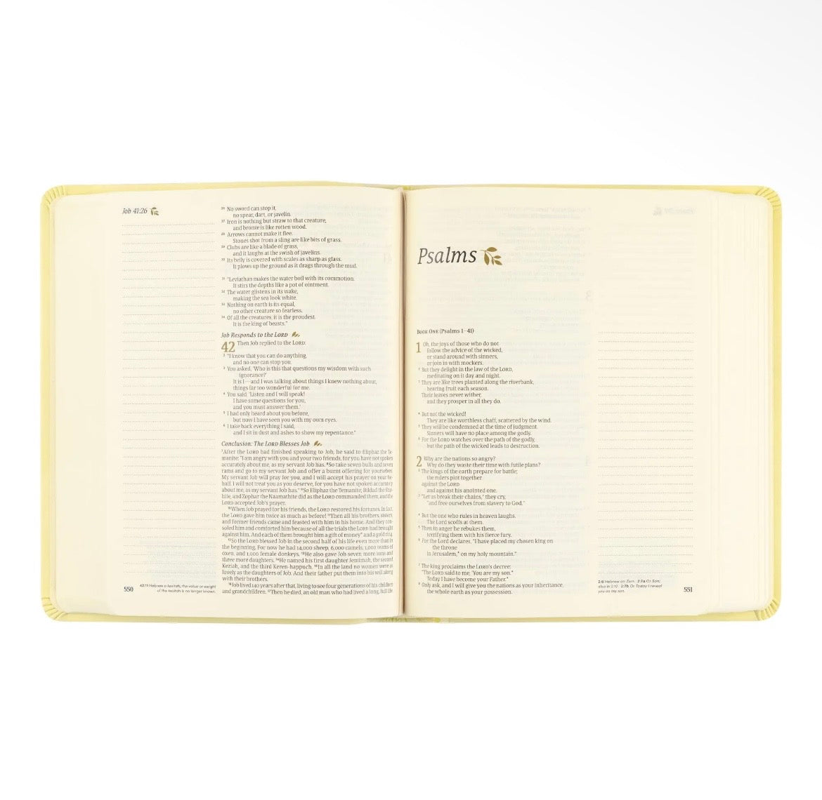 Belfast NLT Notetaking Bible + Bow Set