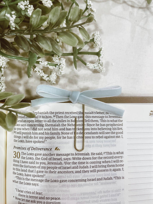 Mint ~ velvet mini bow bookmark