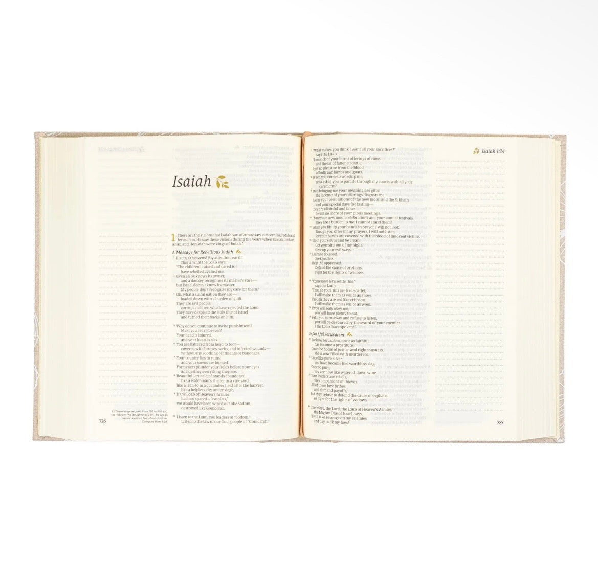 Cordova NLT Notetaking Bible + Bow Set