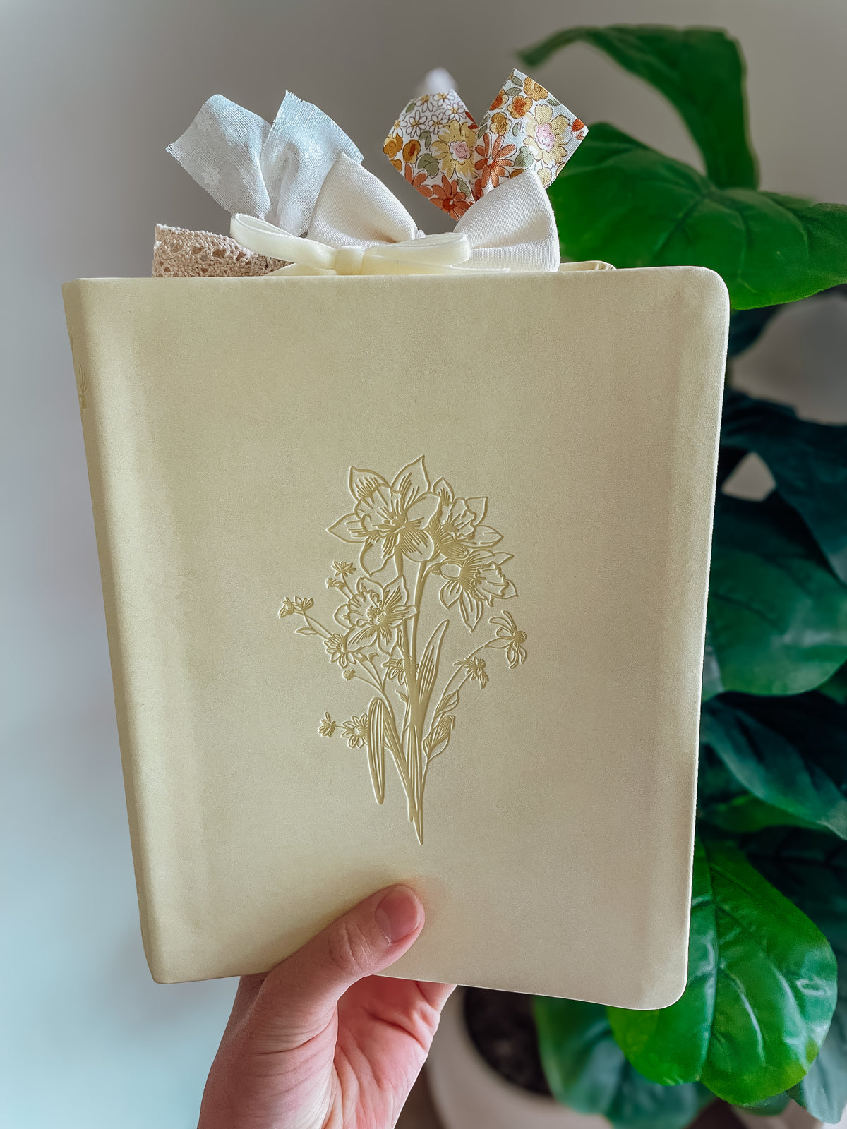 Belfast NLT Notetaking Bible + Bow Set