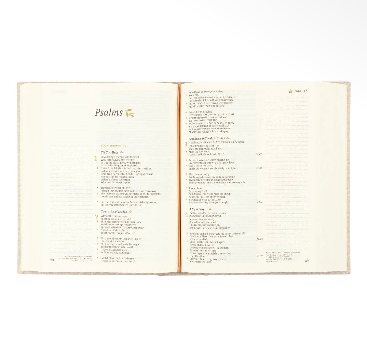 Oxford CSB Notetaking Bible + Bow Set