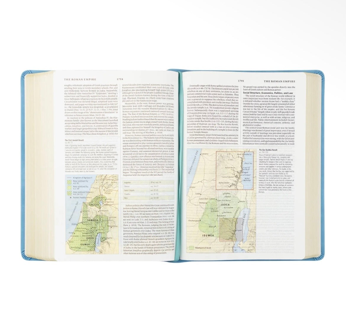 Bethany ESV Study Bible + Bow Set