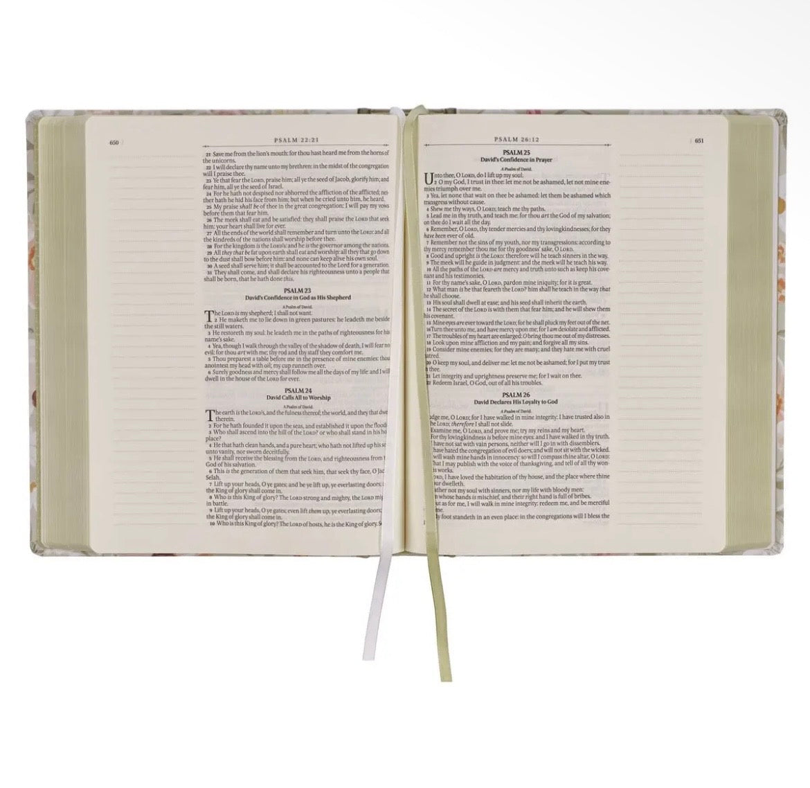 Large Print Sage Floral KJV Notetaking Bible + Bow Set