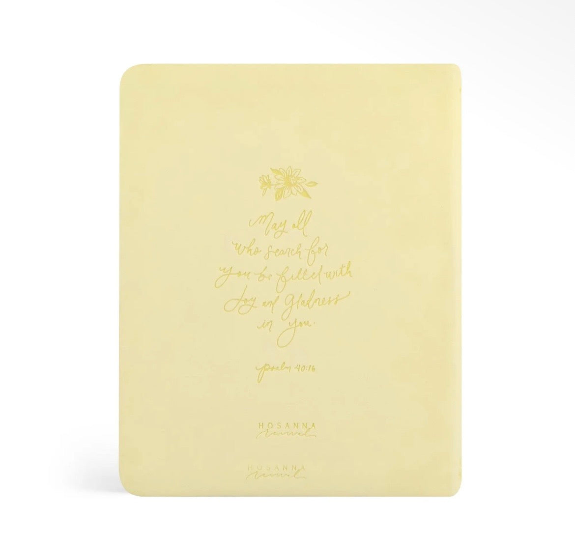 Belfast NLT Notetaking Bible + Bow Set