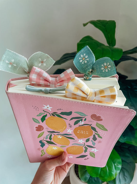 Pink Lemon NIV Journal the Word Bible + Bow Set