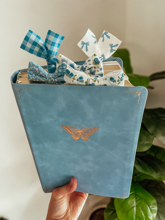 Bethany ESV Study Bible + Bow Set