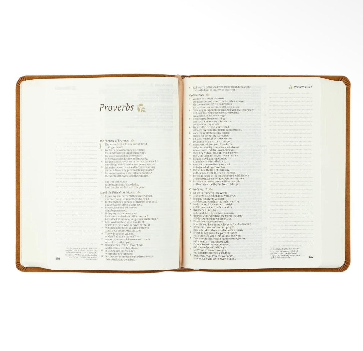 Amelia CSB Notetaking Bible + Bow Set