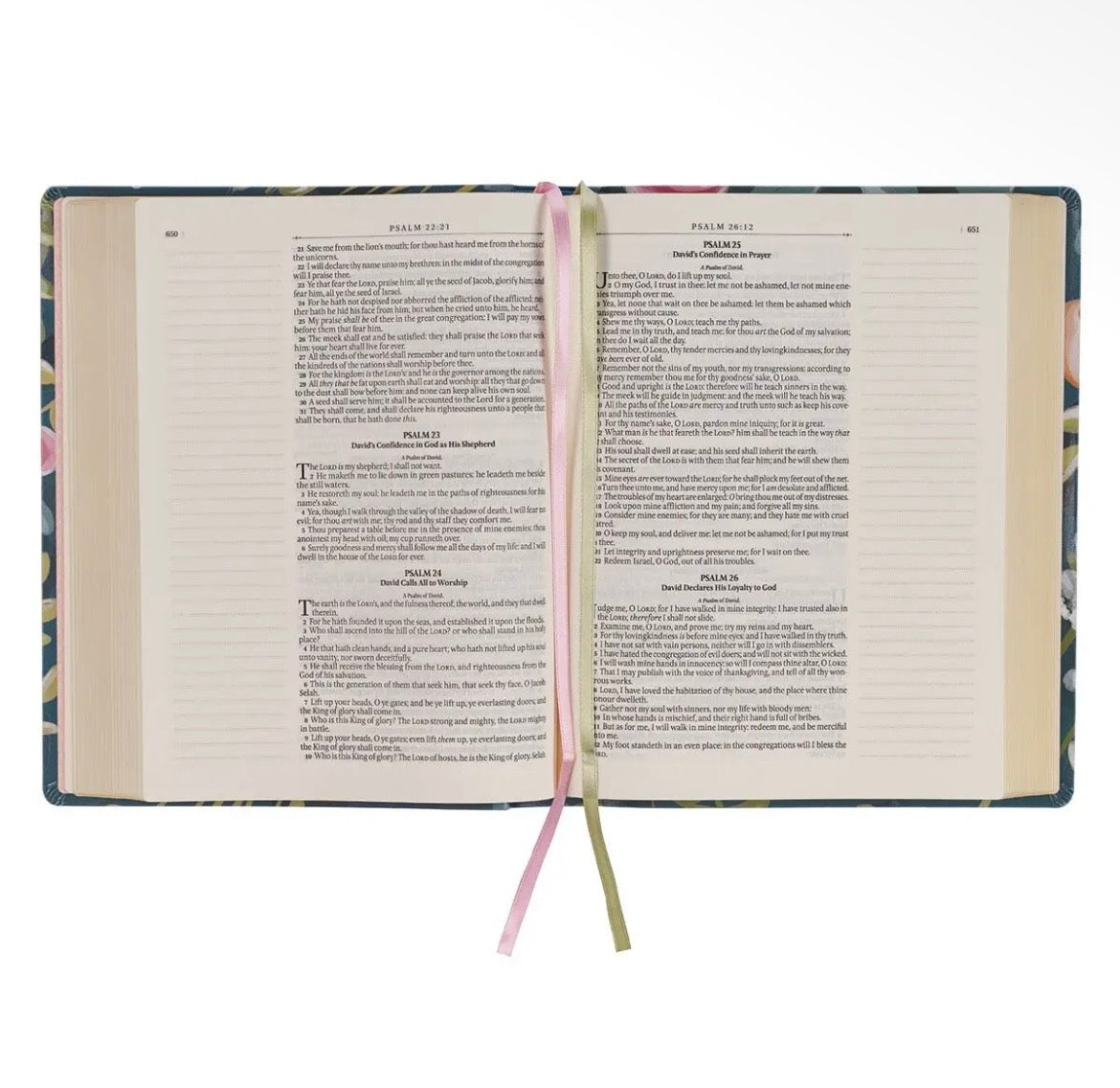 Large Print KJV Notetaking Bible + Bow Set