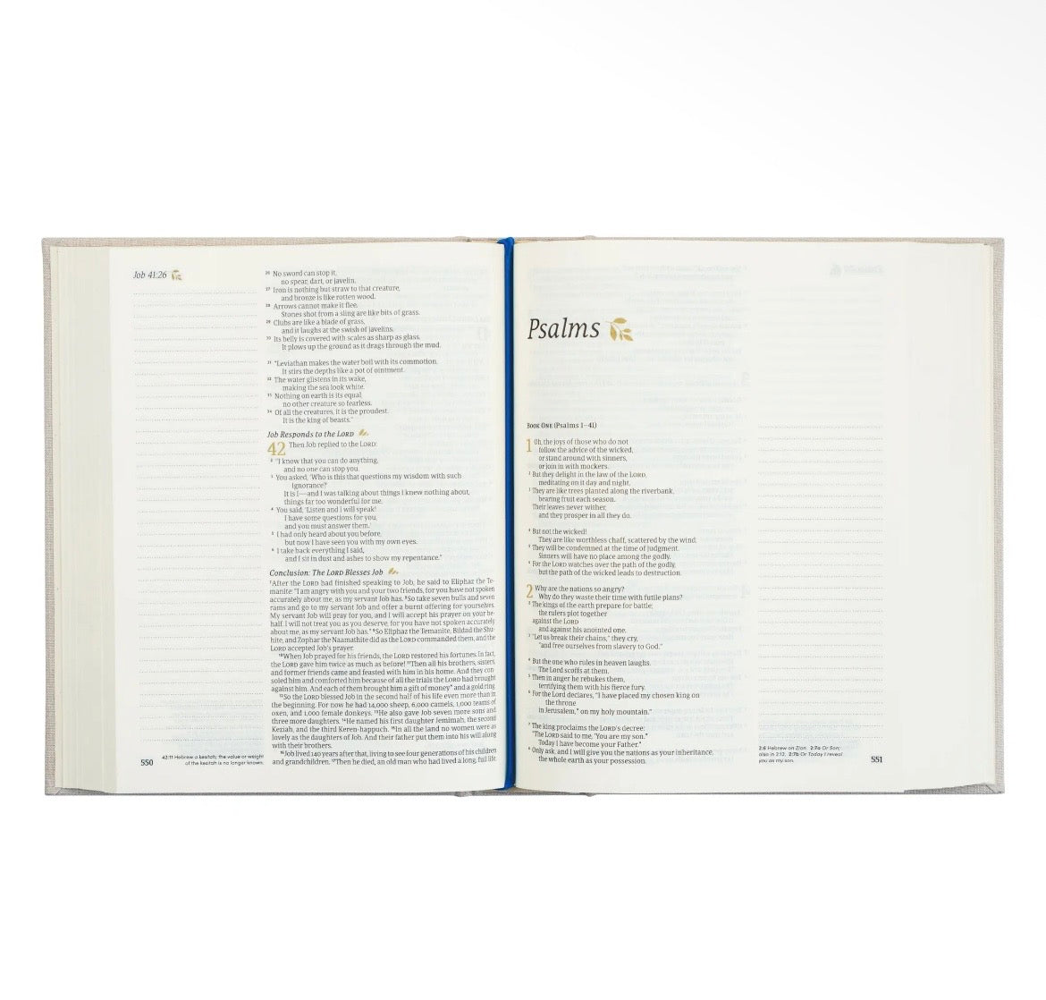 Adelaide NLT Notetaking Bible + Bow Set