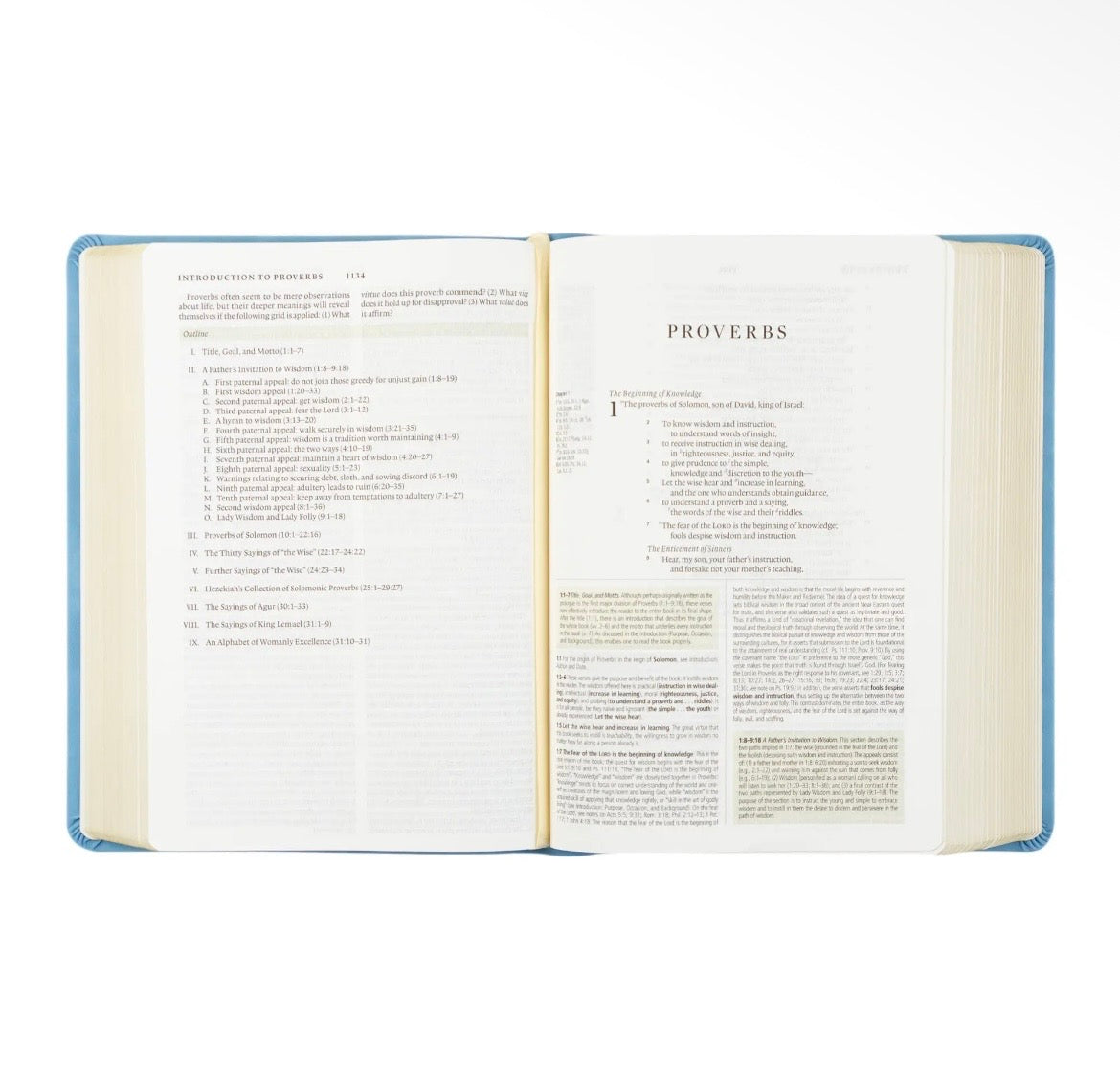 Bethany ESV Study Bible + Bow Set