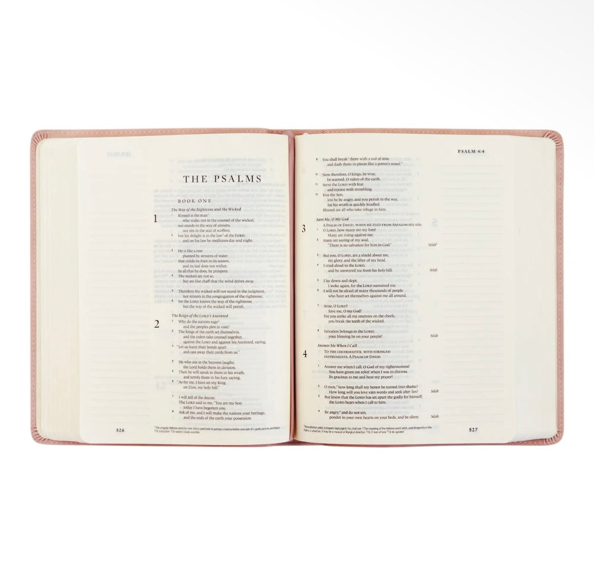 Shiloh ESV Notetaking Bible + Bow Set