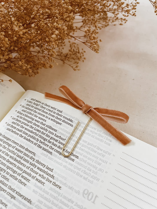 Camel-velvet ribbon bookmark