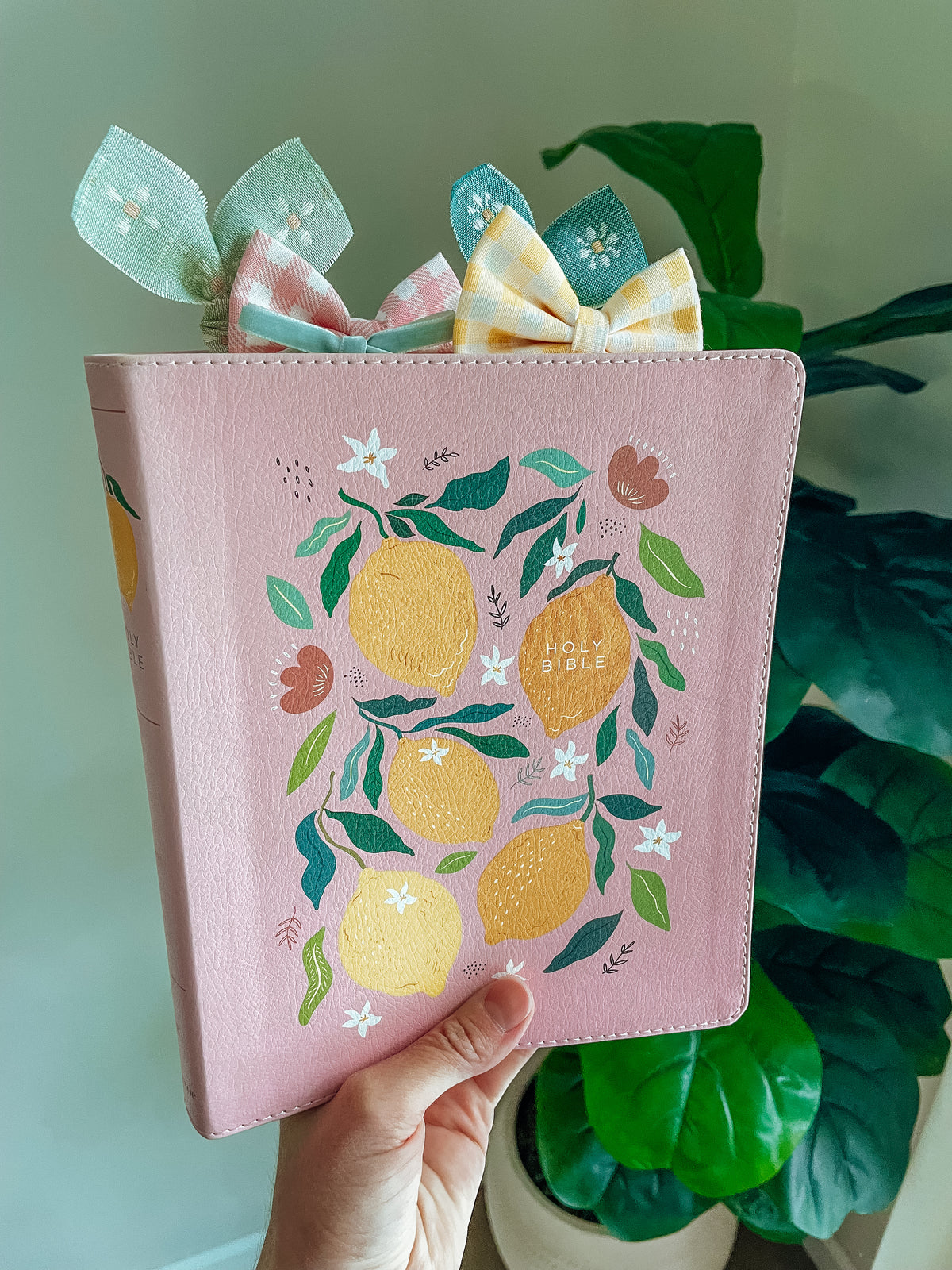 Pink Lemon NIV Journal the Word Bible + Bow Set