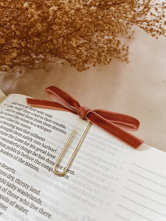 Terrarose- velvet ribbon bookmark
