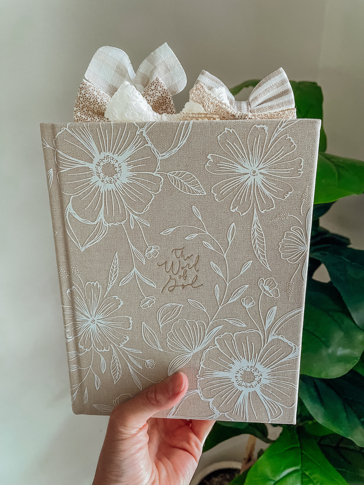 Cordova NLT Notetaking Bible + Bow Set