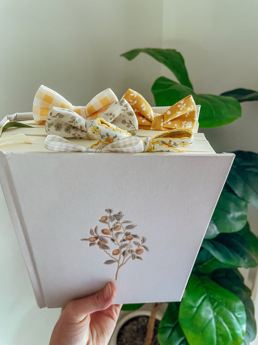 Lemon CSB Notetaking Bible + Bow Set