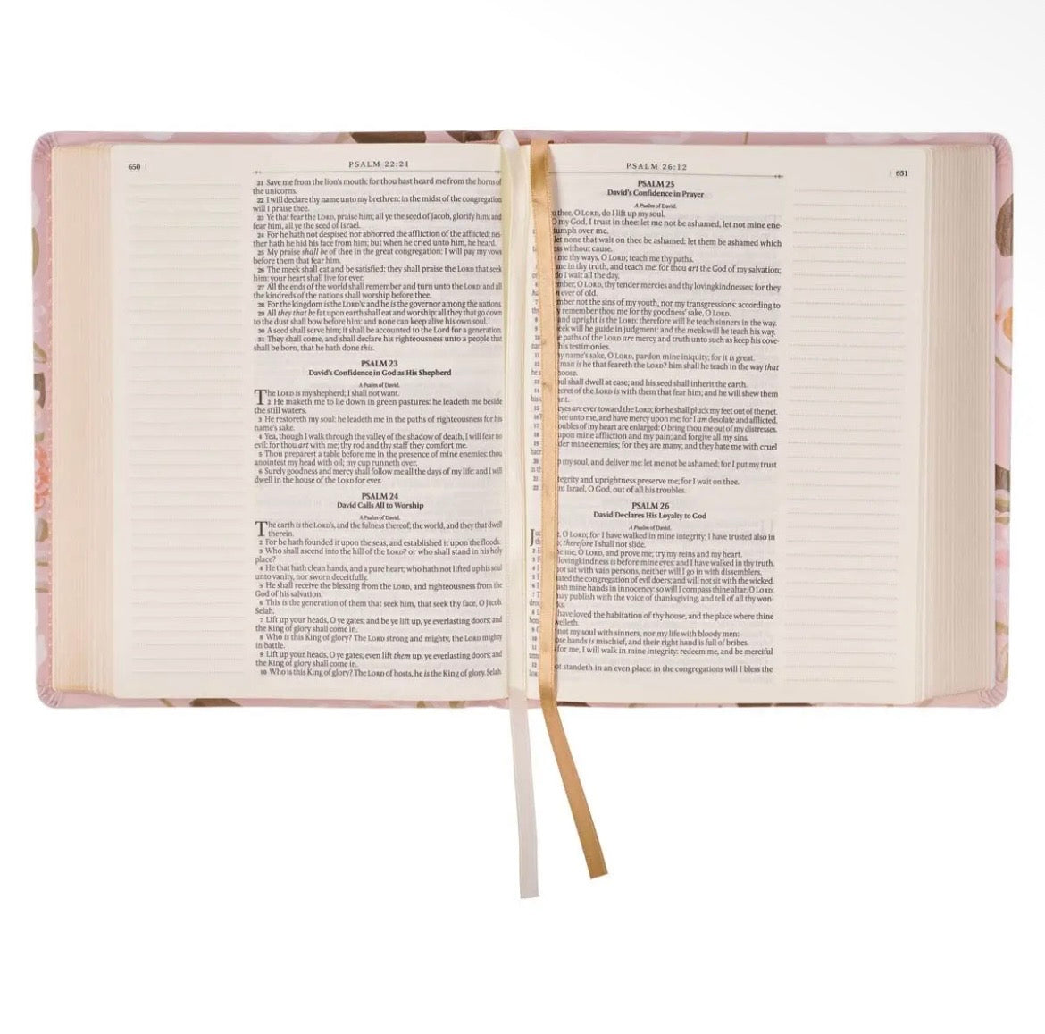 Blush Florals KJV Notetaking Bible + Bow Set